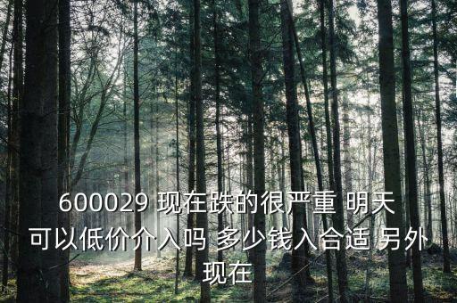 粵傳媒今天什么跌這么厲害，600029 現(xiàn)在跌的很嚴(yán)重 明天可以低價介入嗎 多少錢入合適 另外現(xiàn)在