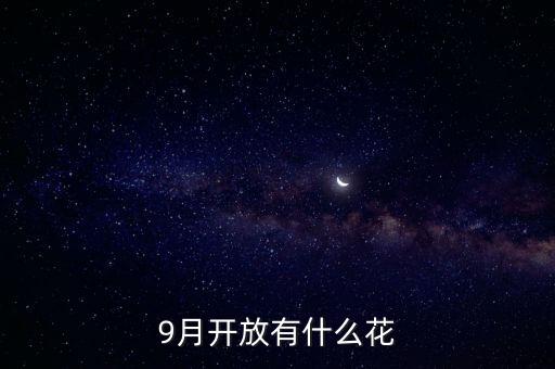 九月什么花經(jīng)路放，9月開放有什么花