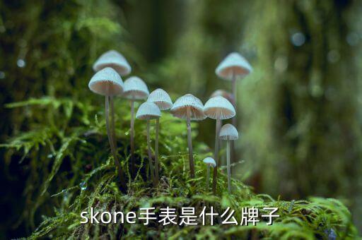 skone手表是什么牌子