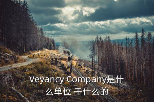 時代沃頓科技有限公司是什么單位，Veyancy Company是什么單位 干什么的