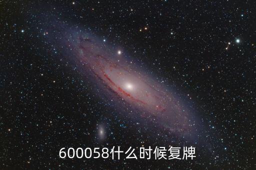 600058什么時候復(fù)牌