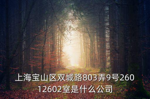 上海柏智方德是什么公司，上海寶山區(qū)雙城路803弄9號26012602室是什么公司