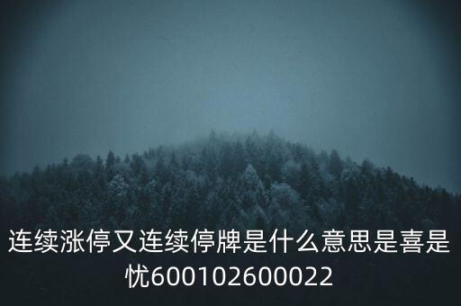 600139連續(xù)停牌是什么意思，股票連續(xù)停牌是什么意思