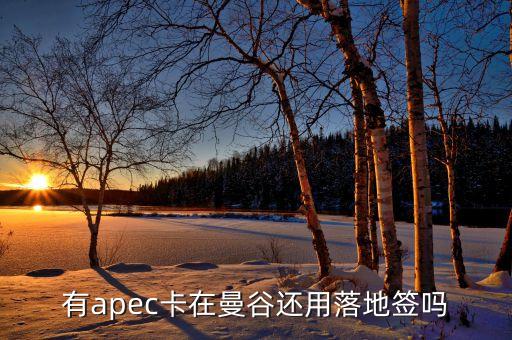 apec為什么有俄羅斯，亞太經(jīng)合組織怎么樣為什么中國1991年才加入怕俄羅斯聯(lián)邦嗎