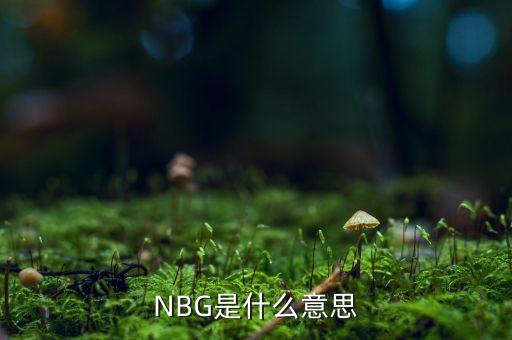 NBG是什么意思