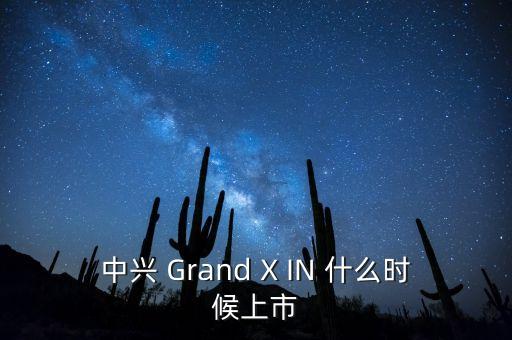 中興 Grand X IN 什么時候上市