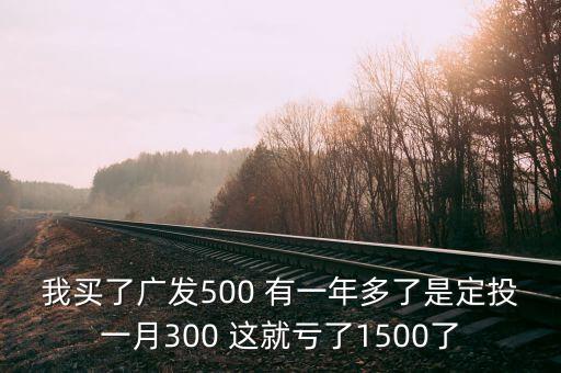 我買了廣發(fā)500 有一年多了是定投一月300 這就虧了1500了