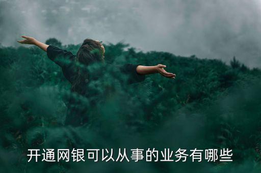 開通網(wǎng)銀可以從事的業(yè)務(wù)有哪些