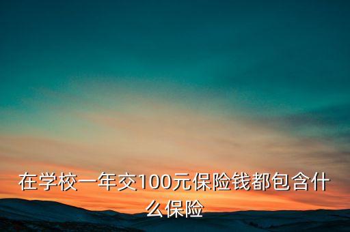 100元保險都保什么，在學校一年交100元保險錢都包含什么保險