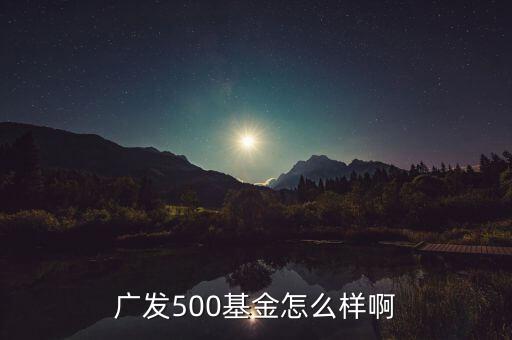 廣發(fā)500凈值為什么很低，廣發(fā)500基金怎么樣啊