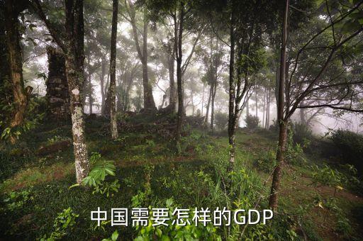 中國(guó)需要怎樣的GDP