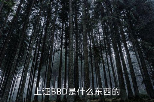 bbd凈差是什么意思，上證BBD是什么東西的