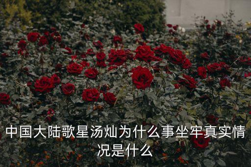 湯燦為什么要當(dāng)情婦，誰知道湯燦怎么了