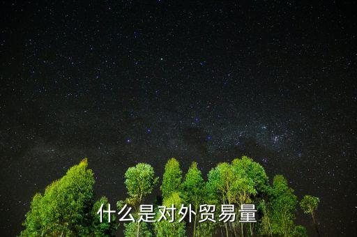 什么是對外貿易量