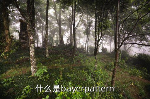 什么是bayerpattern