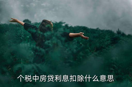 房貸利息抵扣個稅什么意思，個稅中房貸利息扣除什么意思