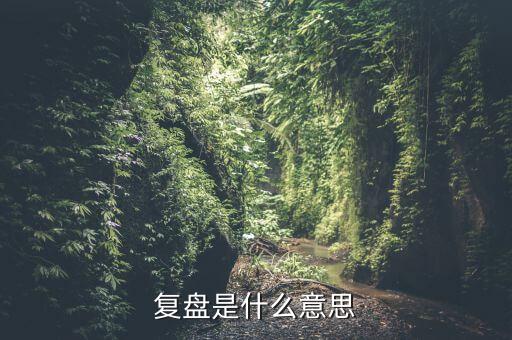 復(fù)盤是什么意思