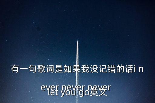 有一句歌詞是如果我沒(méi)記錯(cuò)的話i never never never let you go英文