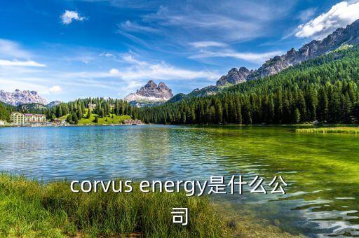 凱富能源是什么公司，corvus energy是什么公司