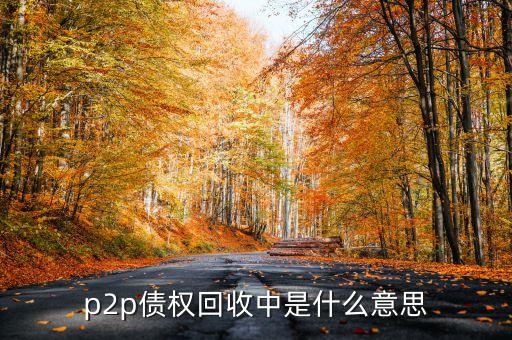 p2p債權(quán)回收中是什么意思