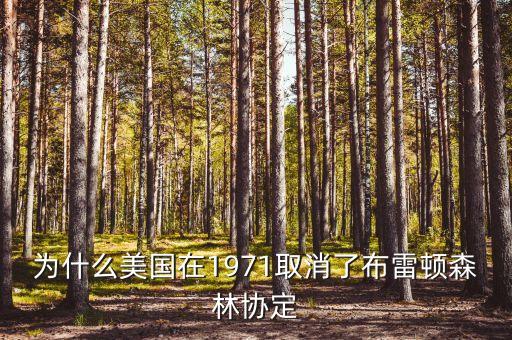 什么取代了布雷頓森林體系，布雷頓森林體系的產(chǎn)生說(shuō)明了