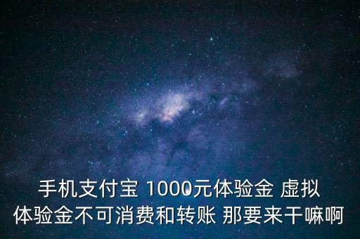 手機(jī)支付寶 1000元體驗金 虛擬體驗金不可消費(fèi)和轉(zhuǎn)賬 那要來干嘛啊