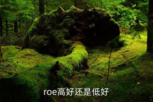 roe低說明什么，凈資產(chǎn)收益率反應(yīng)了些什么