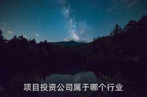 項目投資公司屬于哪個行業(yè)