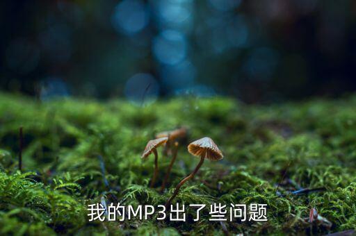 我的MP3出了些問題