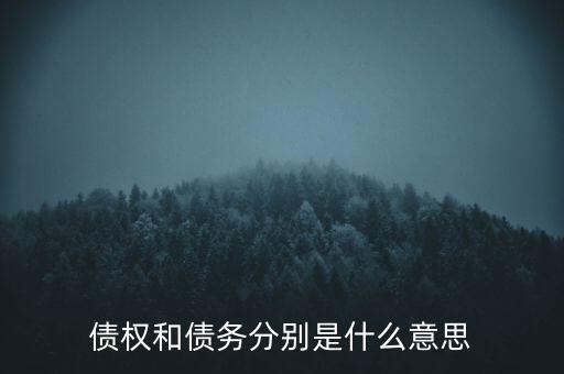 bsp票款債權是什么，銀行理財業(yè)務里面的liborbsp是什么意思