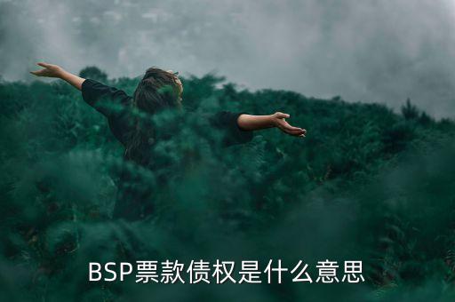 BSP票款債權(quán)是什么意思