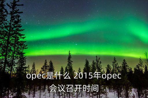 什么是opec會議，OPEC石油會議是什么時候召開啊石油價格會受影響嗎