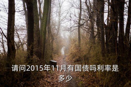 201511月發(fā)行什么國債，請問2015年11月有國債嗎利率是多少