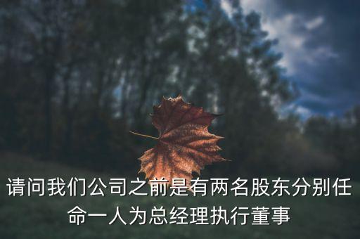 請(qǐng)問(wèn)我們公司之前是有兩名股東分別任命一人為總經(jīng)理執(zhí)行董事