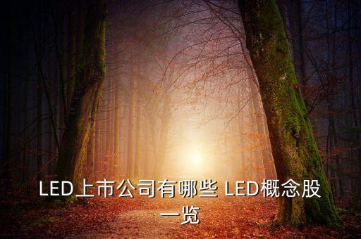 上市公司鴻什么視訊，視訊行業(yè)有哪些公司