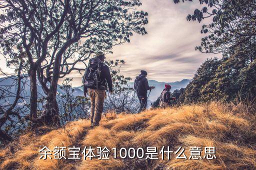 余額寶體驗1000是什么意思