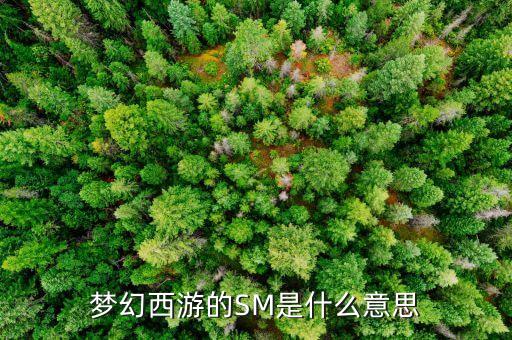 石煤是什么東西，石煤的發(fā)熱量有沒有超過5000卡