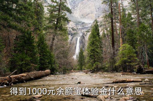 1000余額寶體驗(yàn)金是什么，得到1000元余額寶體驗(yàn)金什么意思