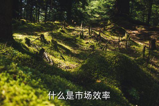 外匯市場(chǎng)效率理論是什么，介紹一些實(shí)用基礎(chǔ)精僻的經(jīng)濟(jì)學(xué)著作