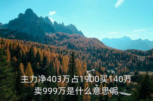 主力凈403萬(wàn)占1900買(mǎi)140萬(wàn)賣(mài)999萬(wàn)是什么意思呢