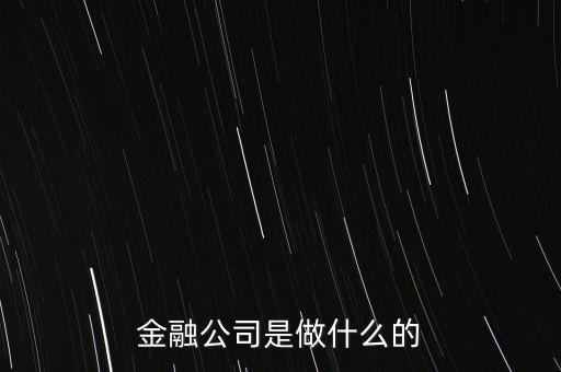 美國住宅金融公司是干什么的，房地美和房利美在美國算什么性質(zhì)的金融機構(gòu)