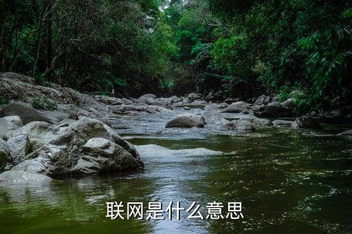 聯(lián)網是什么意思