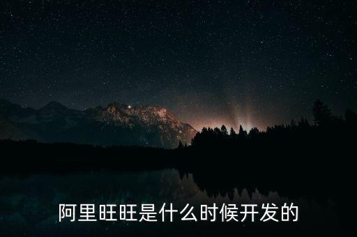 阿里旺旺是什么時候開發(fā)的