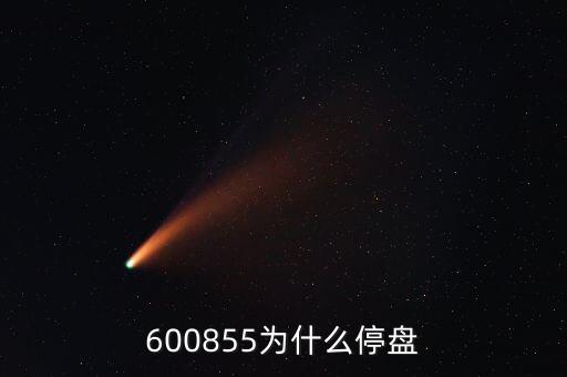 600855為什么停盤