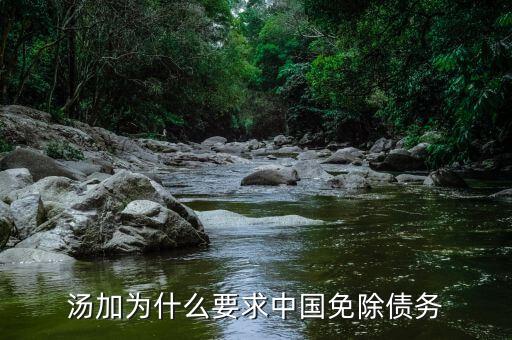 湯加為什么要求中國(guó)免除債務(wù)