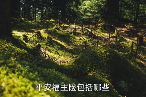 平安福主險包括哪些