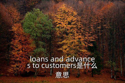 loans and advances to customers是什么意思