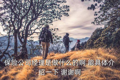 保險公司經(jīng)理是做什么的啊 能具體介紹一下 謝謝啊