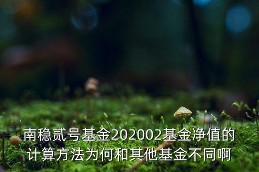 南穩(wěn)二號為什么要分紅，南穩(wěn)貳號基金202002基金凈值的計算方法為何和其他基金不同啊