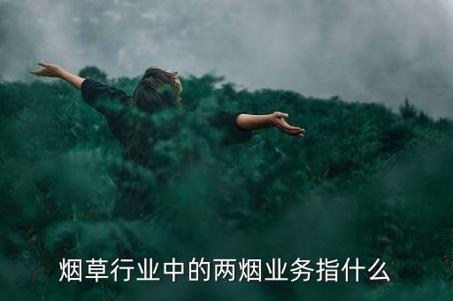 煙草行業(yè)中的兩煙業(yè)務指什么